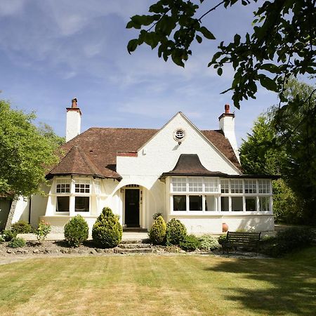 Daisybank Cottage Boutique Bed And Breakfast Brockenhurst Kültér fotó