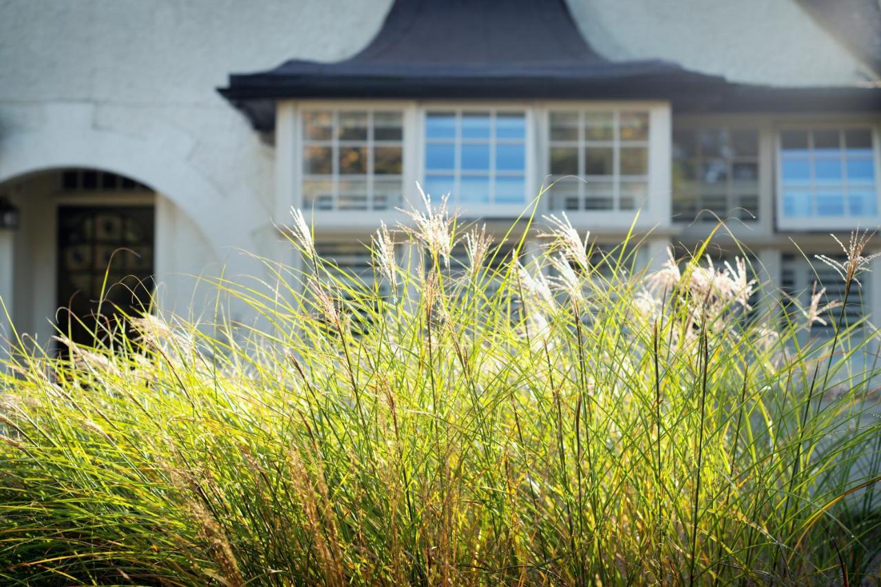 Daisybank Cottage Boutique Bed And Breakfast Brockenhurst Kültér fotó